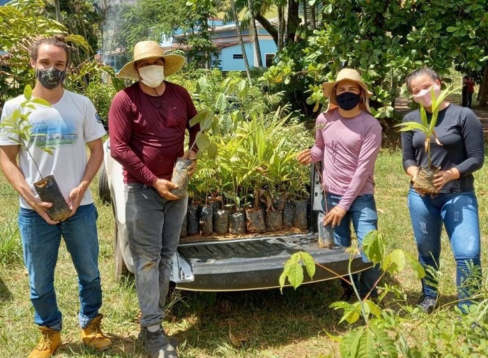 Leia mais sobre o artigo Projeto em Anchieta produz e distribui 2 mil mudas de árvores nativas