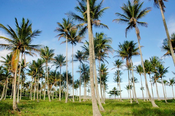 Leia mais sobre o artigo Municípios capixabas avançam na categorização do Ministério do Turismo