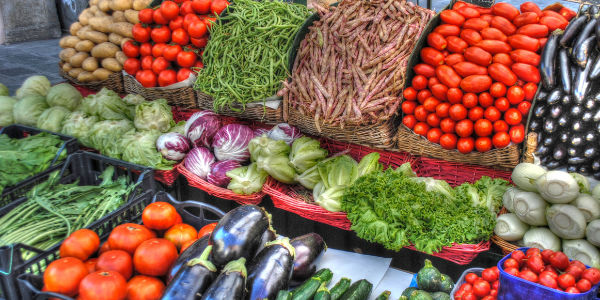 Leia mais sobre o artigo Projeto AlimentarES promove seminário sobre segurança alimentar e nutricional