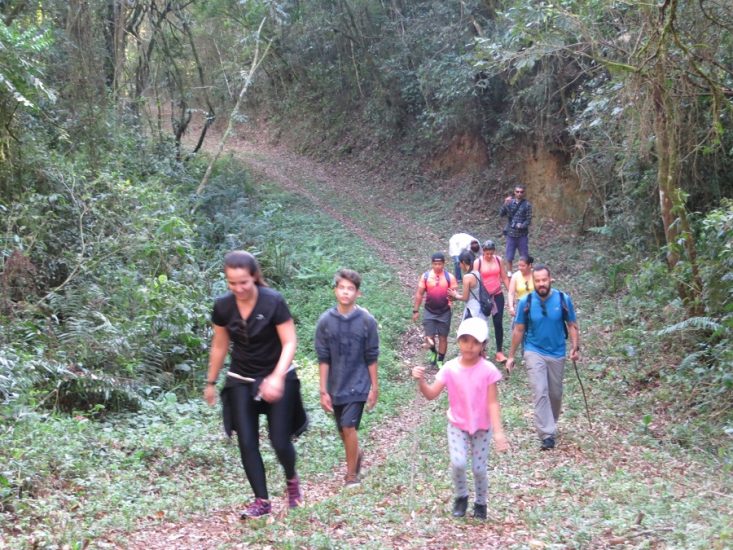 Leia mais sobre o artigo Ações do Projeto Conexão Mata Atlântica e Bosques Modelo são avaliadas na Zona da Mata