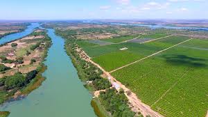 Leia mais sobre o artigo Bahia e Pernambuco assinam projeto para incrementar setor produtivo das frutas