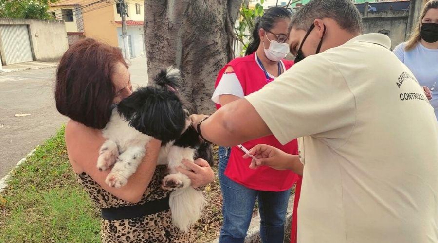 Leia mais sobre o artigo Neste sábado (3): vacinação gratuita contra raiva em Vila Velha