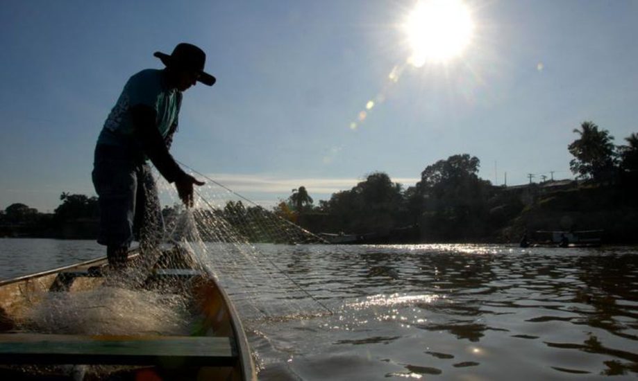 Leia mais sobre o artigo Força-tarefa para zerar a fila de cadastro de pescador é prorrogada