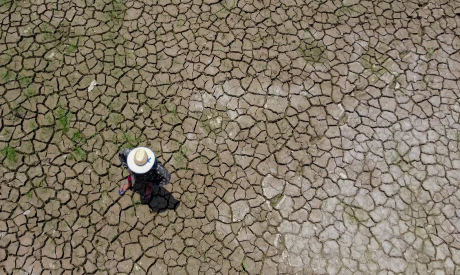 Leia mais sobre o artigo A seca já afeta todos os municípios do Amazonas