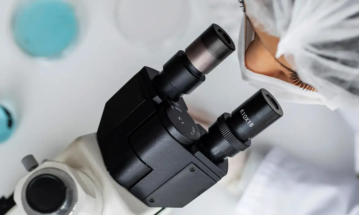 Leia mais sobre o artigo Impacto acadêmico da ciência brasileira aumentou 21% de 1996 a 2022