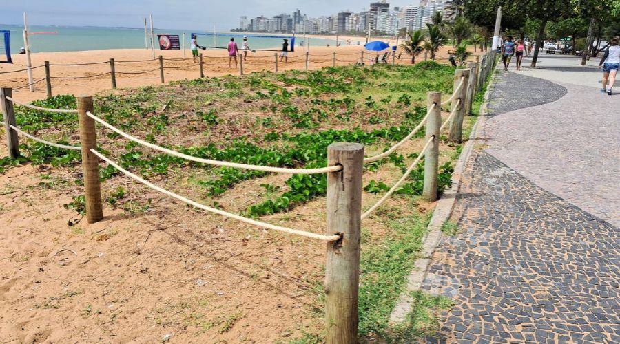 Leia mais sobre o artigo ​Vila Velha realiza manutenção periódica na orla para proteção das restingas