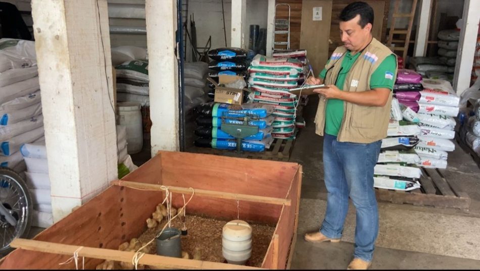 Leia mais sobre o artigo Operação: mais de 200 revendas que comercializam aves vivas são fiscalizadas pelo Idaf