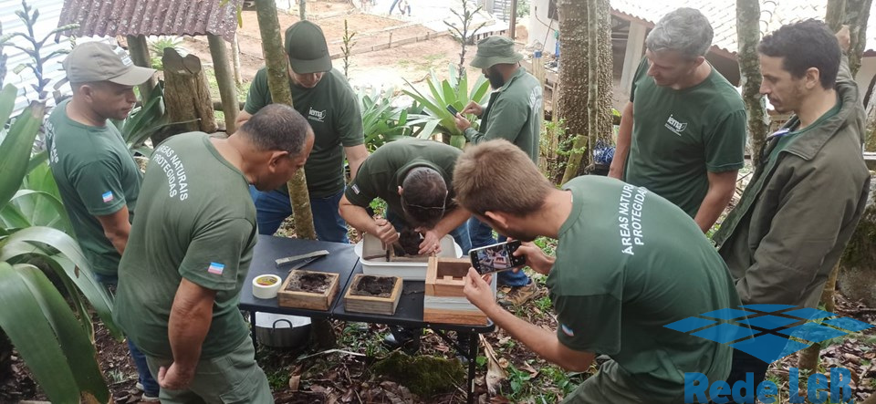 Leia mais sobre o artigo IEMA avança em projeto de preservação de abelhas nativas com ação no Parque Estadual Pedra Azul