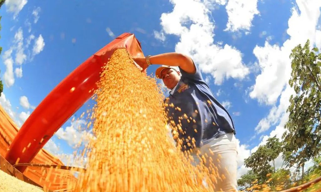 Leia mais sobre o artigo Brasil deve ter nova safra recorde de grãos em 2025/26, diz Conab