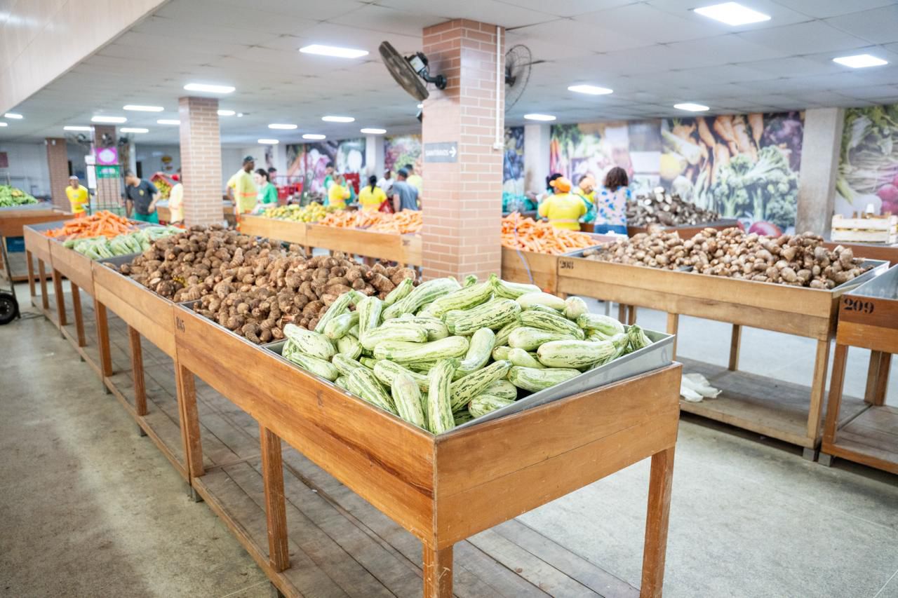 Leia mais sobre o artigo Projeto Cestas Verdes é lançado em Guarapari com entrega de 2 mil cestas da agricultura familiar