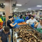 Mil cestas de alimentos in natura são distribuídas a famílias em vulnerabilidade em Guarapari