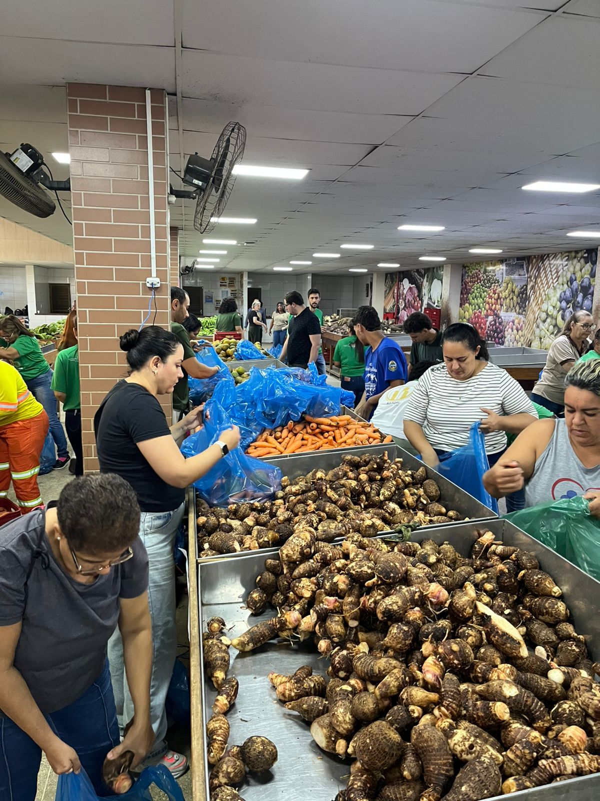 Leia mais sobre o artigo Mil cestas de alimentos in natura são distribuídas a famílias em vulnerabilidade em Guarapari