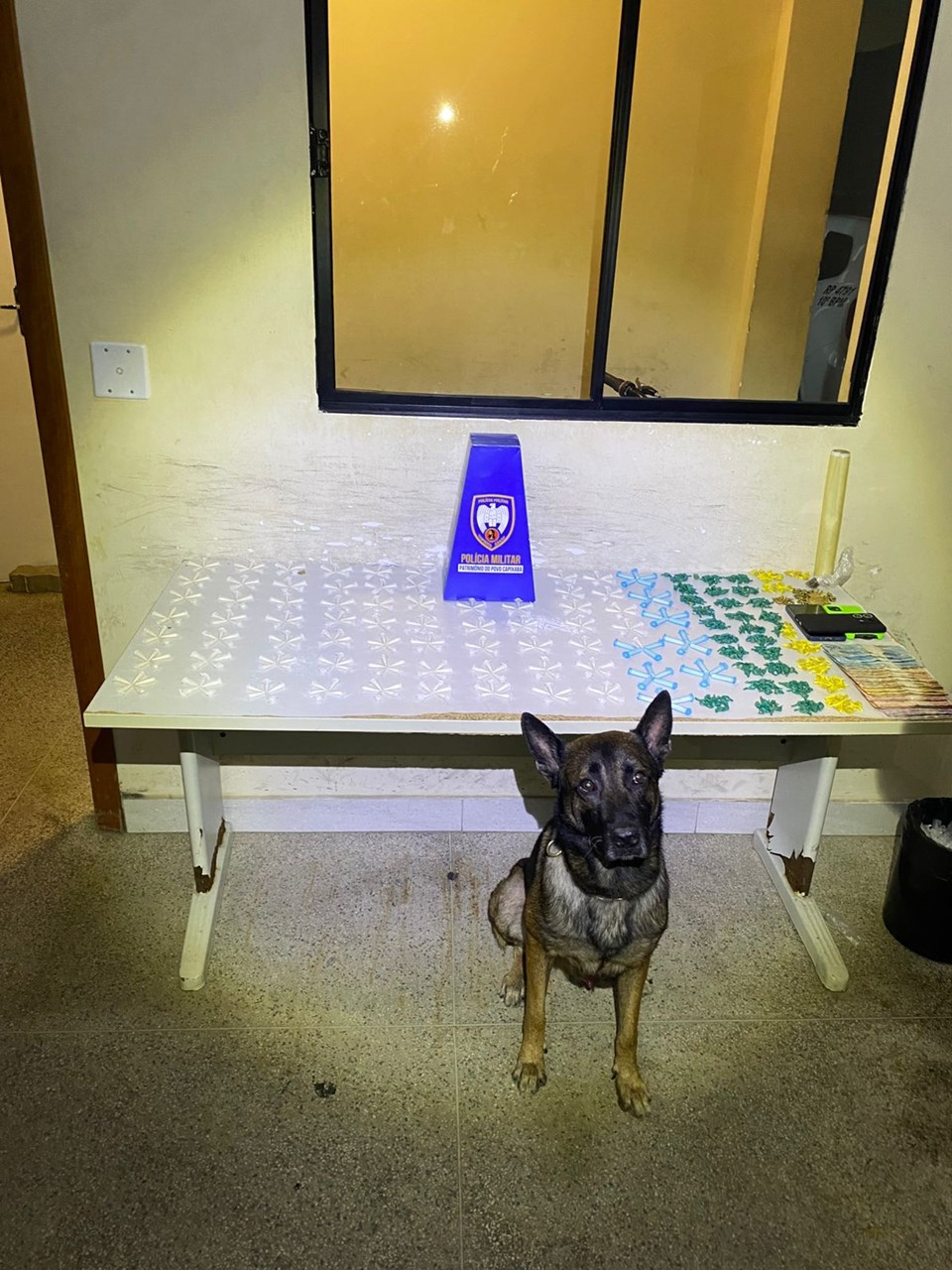 Leia mais sobre o artigo Polícia Militar apreende grande quantidade de drogas e cumpre mandados em Guarapari