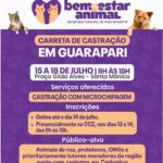 Prefeitura abre 1.300 vagas para castração gratuita de cães e gatos em Guarapari