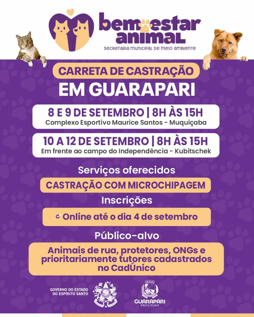 Leia mais sobre o artigo Guarapari terá nova etapa de castração gratuita de cães e gatos nos dias 8 a 12 de setembro